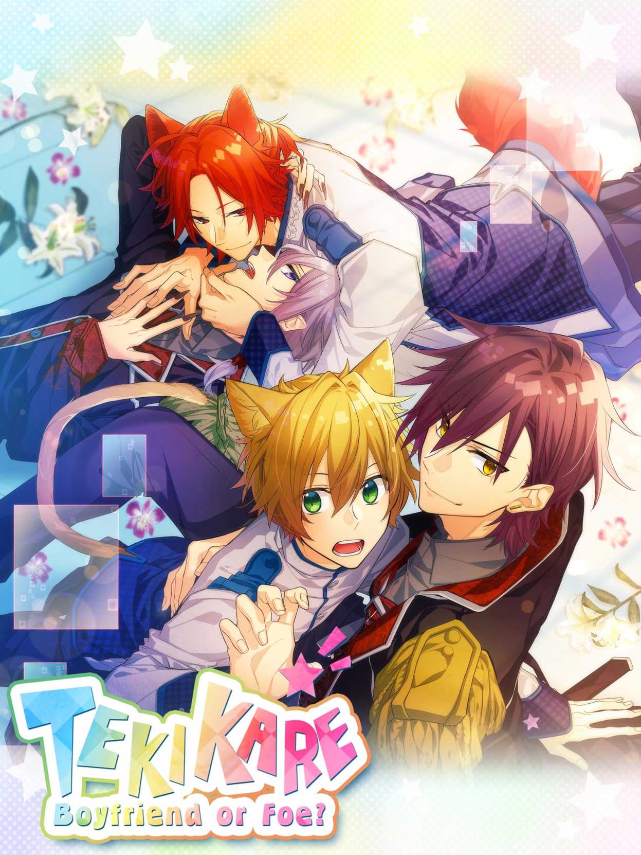 TekiKare: Boyfriend or Foe? cover