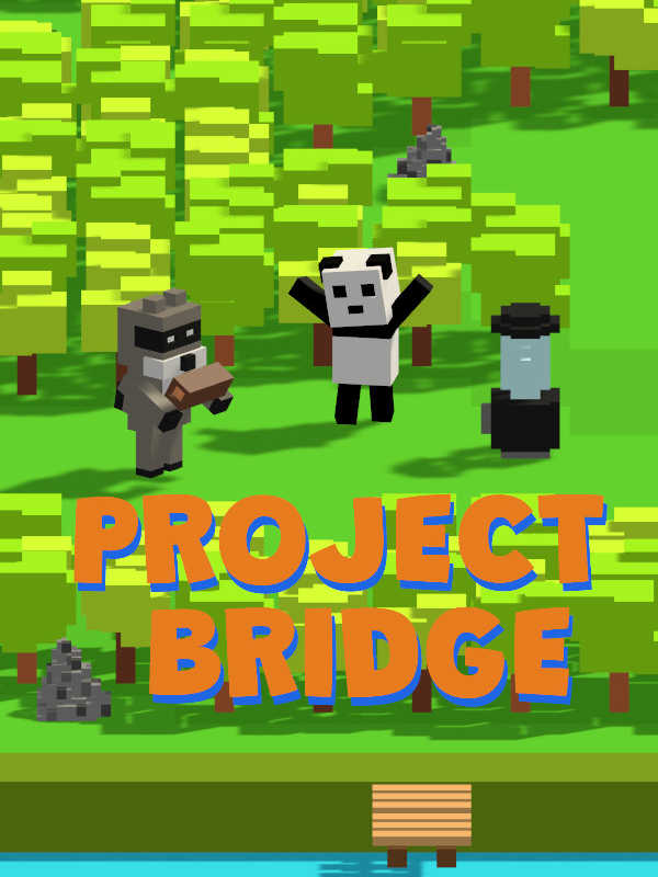 Project Bridge cover