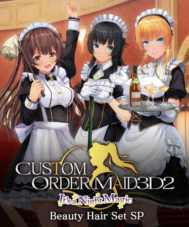 Custom Order Maid 3D2: It's a Night Magic Beauty Hair Set SP All in One Pack cover