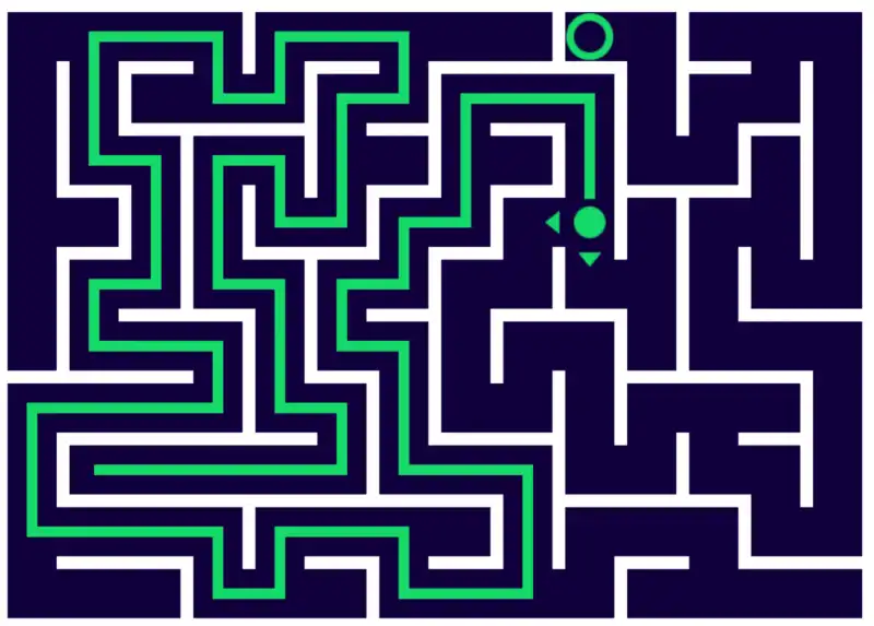 Maze cover
