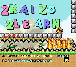 2Kaizo 2Learn cover