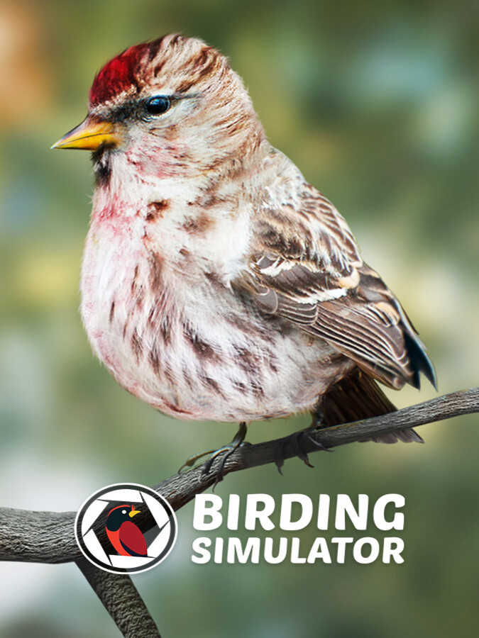 Birding Simulator cover