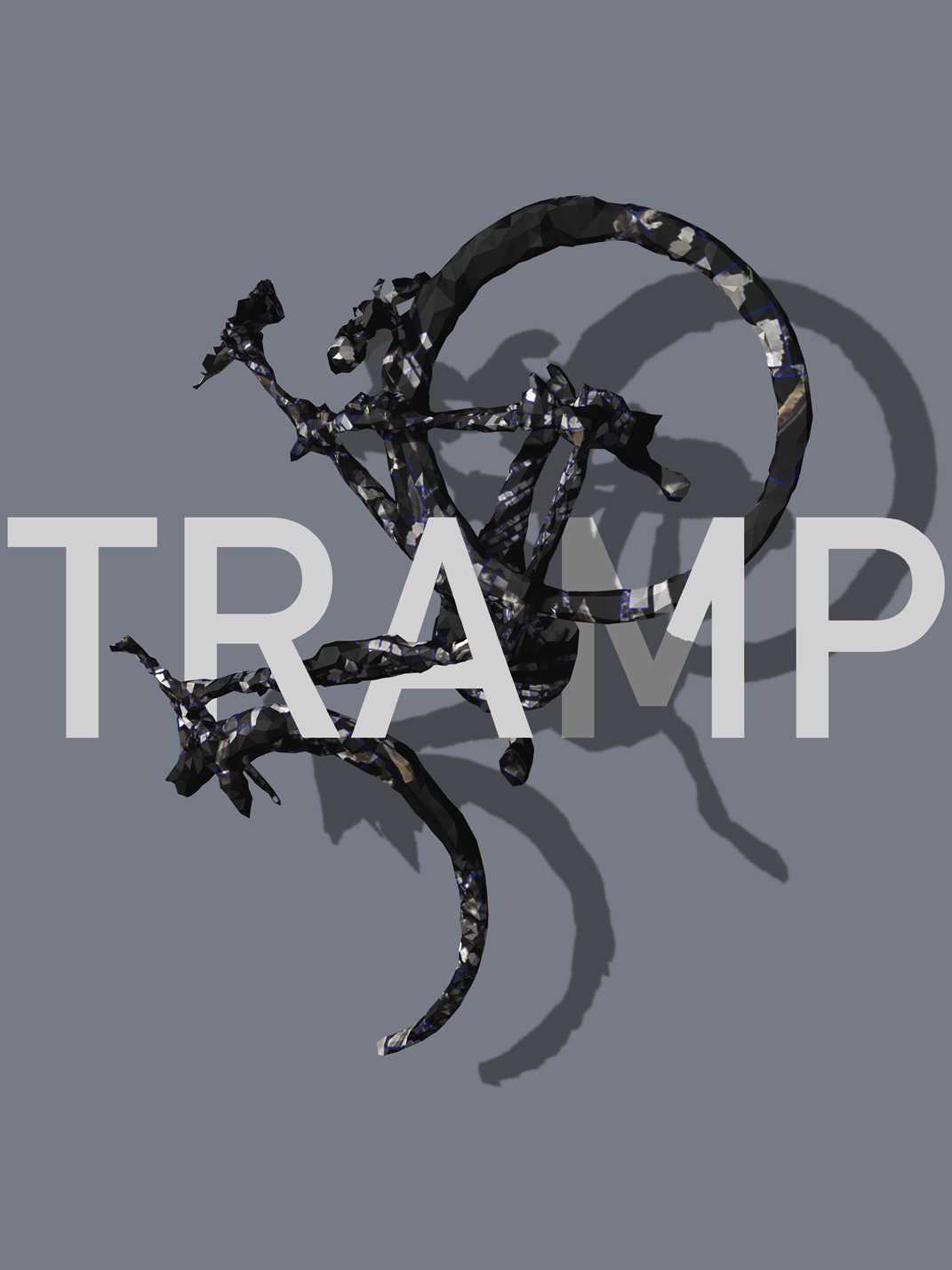 Tramp cover