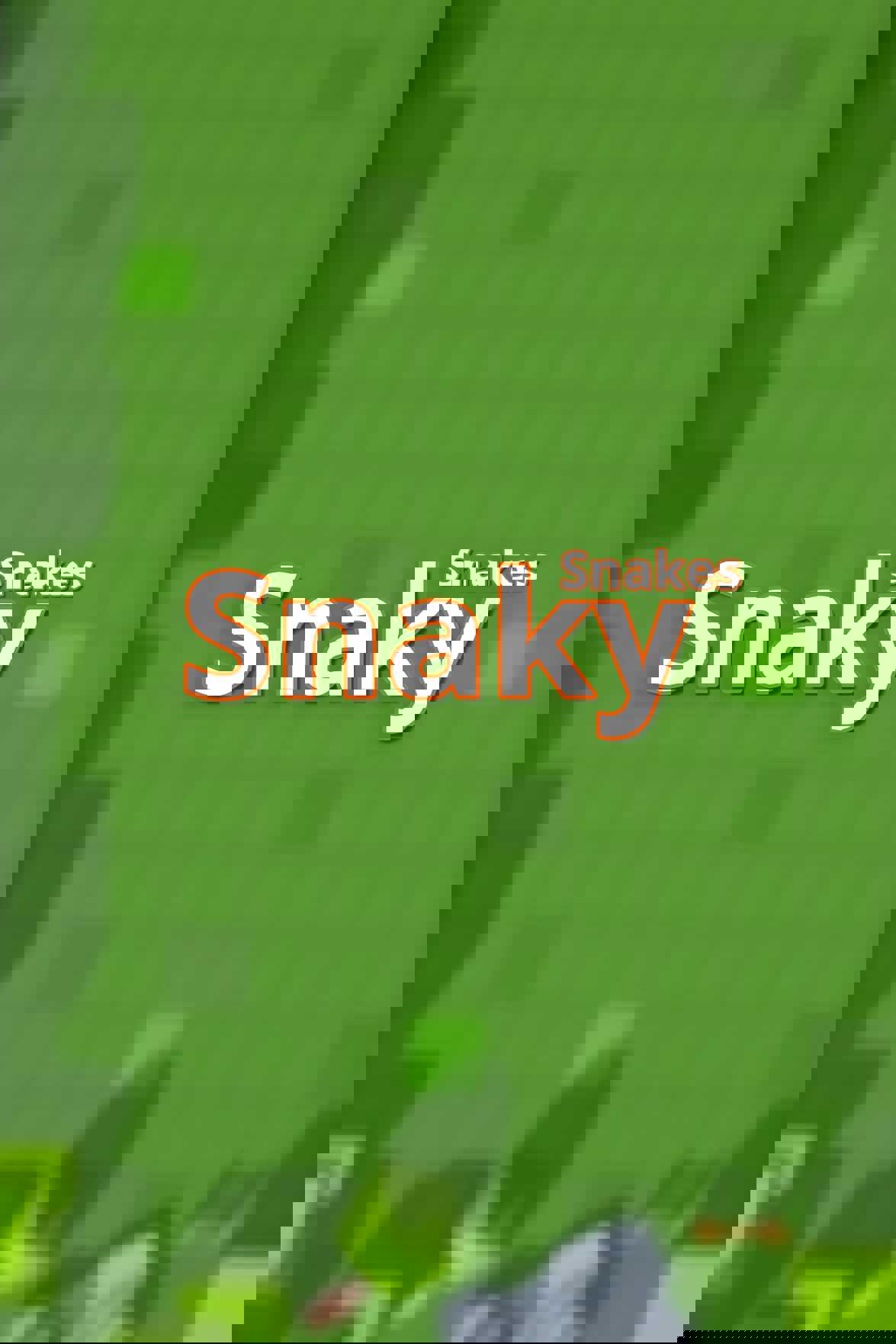 Snaky Snakes cover