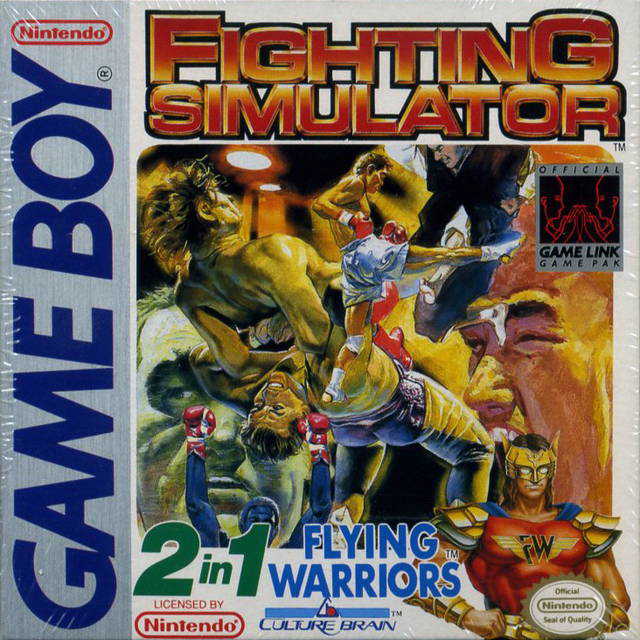 Fighting Simulator: 2-in-1 Flying Warriors cover