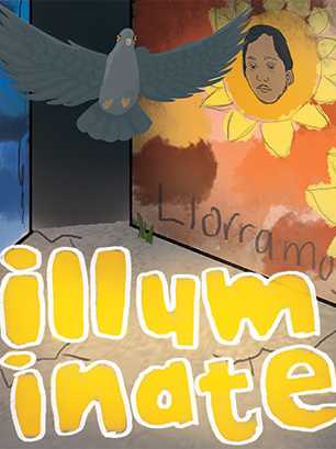 Illuminate cover