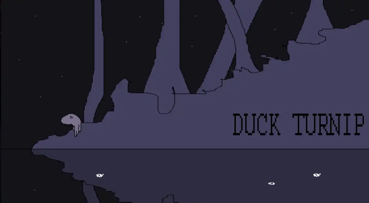 Duck Turnip cover