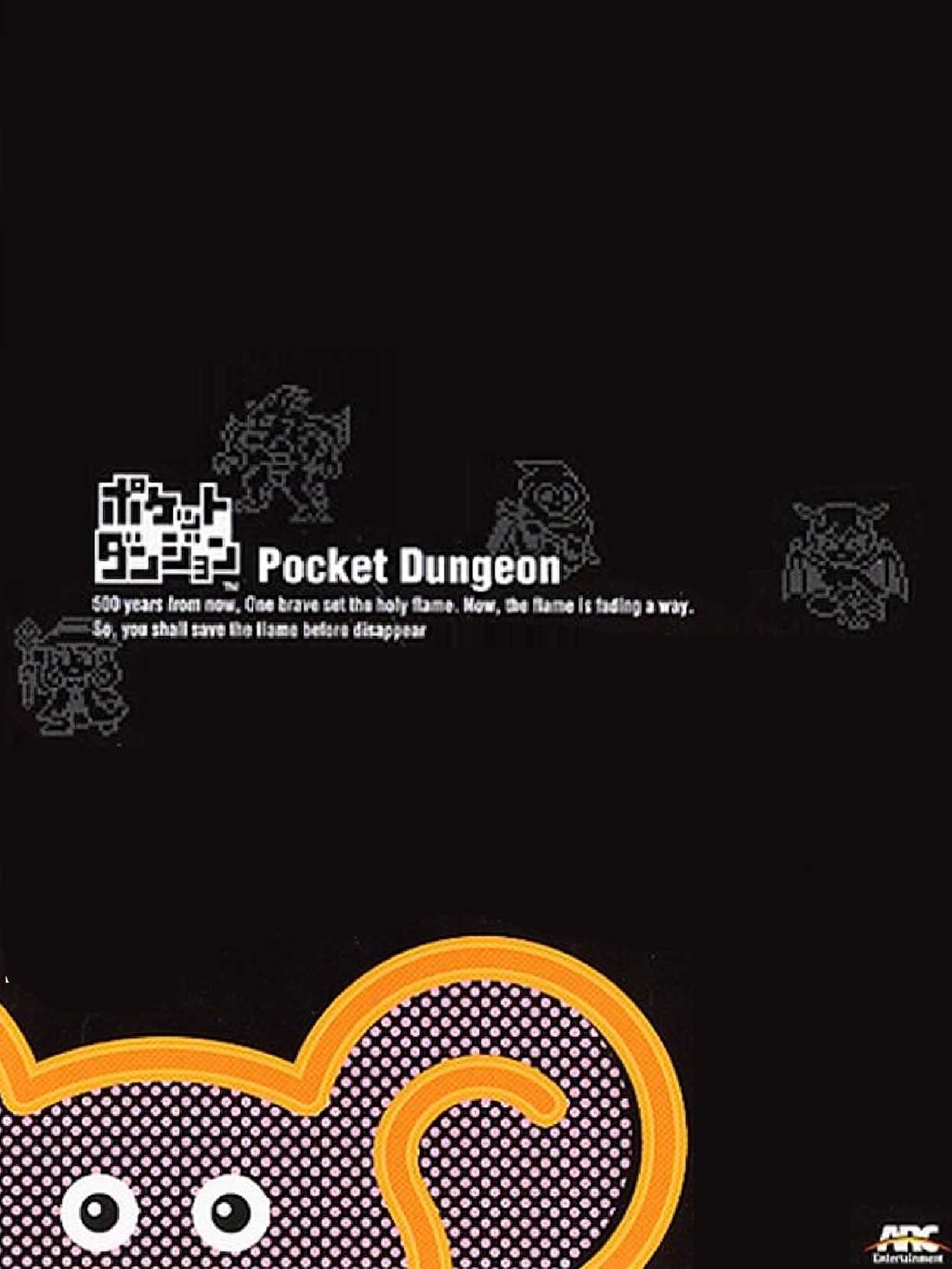 Pocket Dungeon cover
