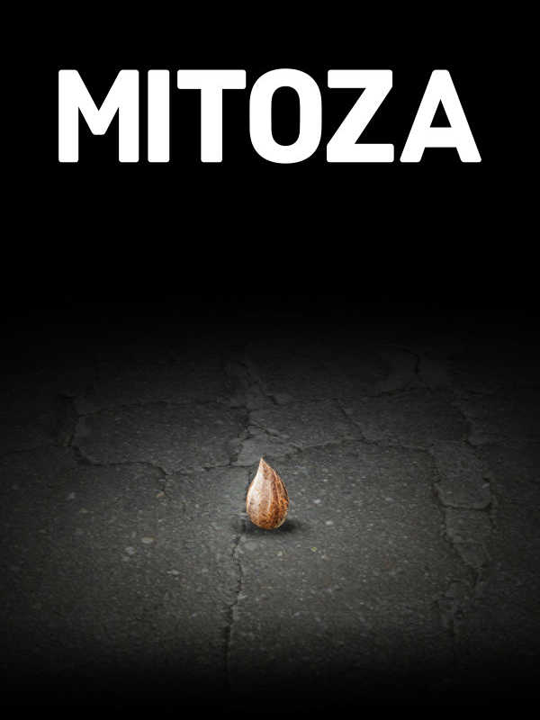 Mitoza cover