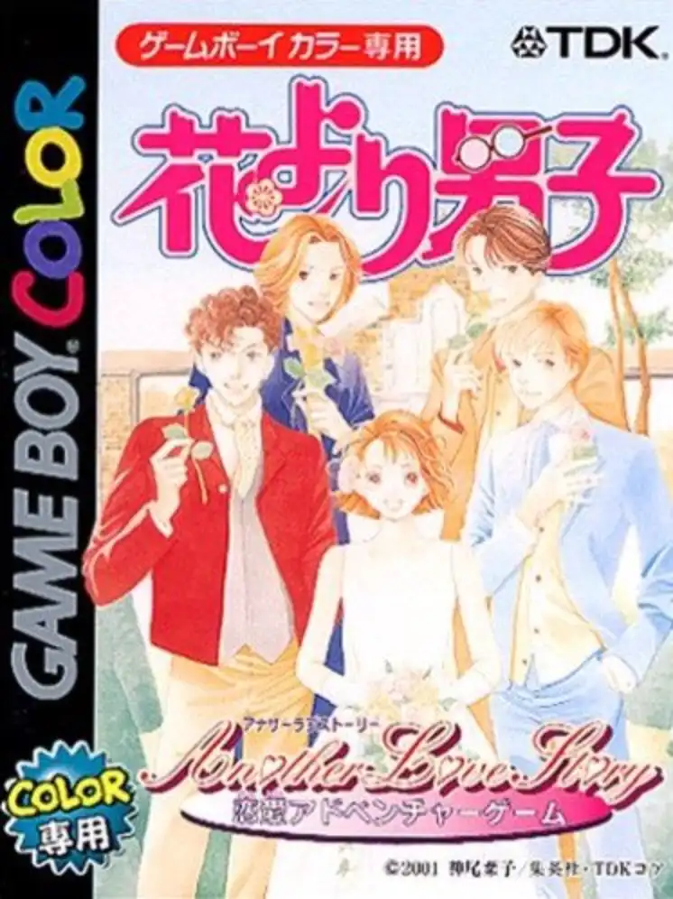 Hana Yori Dango: Another Love Story cover