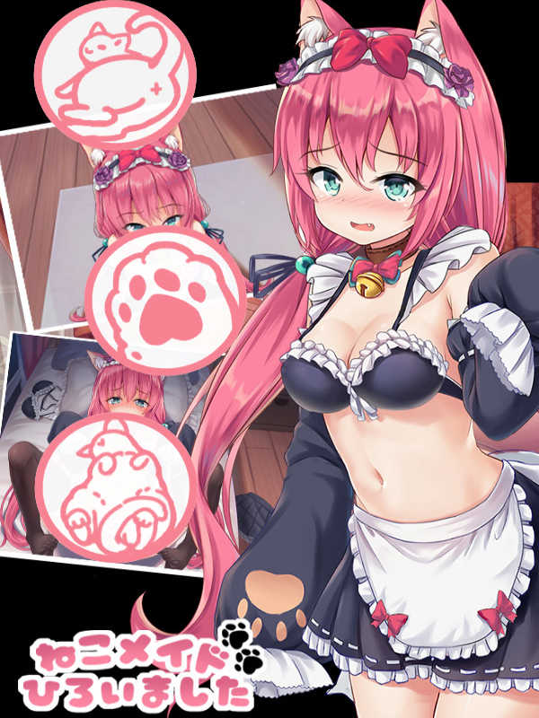 I got a cat maid cover