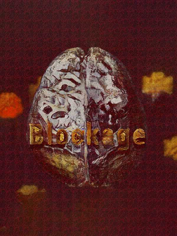 Blockage cover