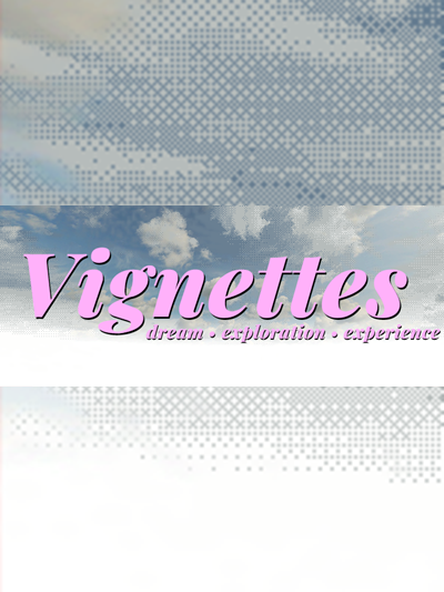 Vignettes cover