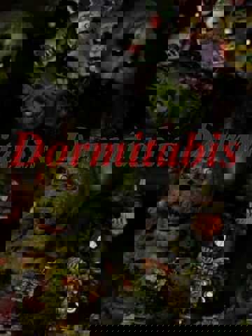 Dormitabis cover
