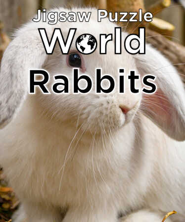 Jigsaw Puzzle World: Rabbits cover