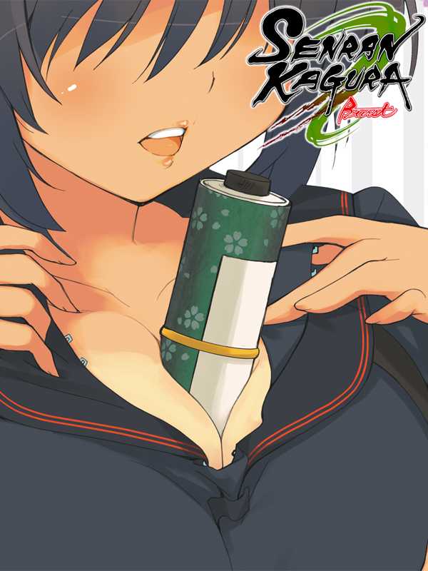 Senran Kagura Burst cover