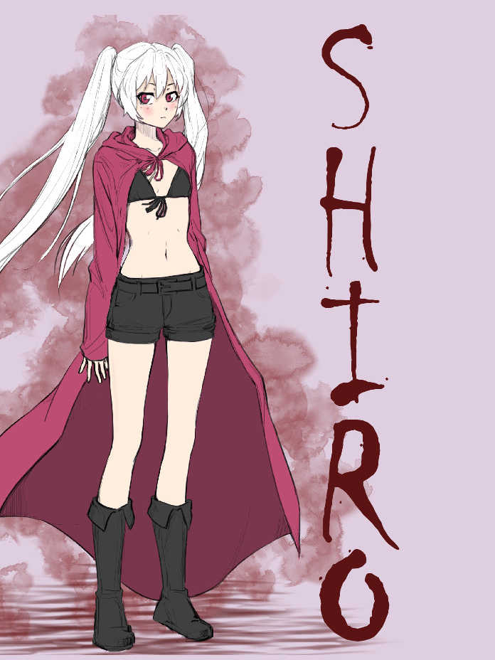 Shiro cover