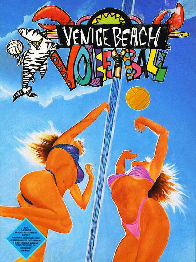 Venice Beach Volleyball cover
