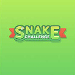Snake Challenge cover