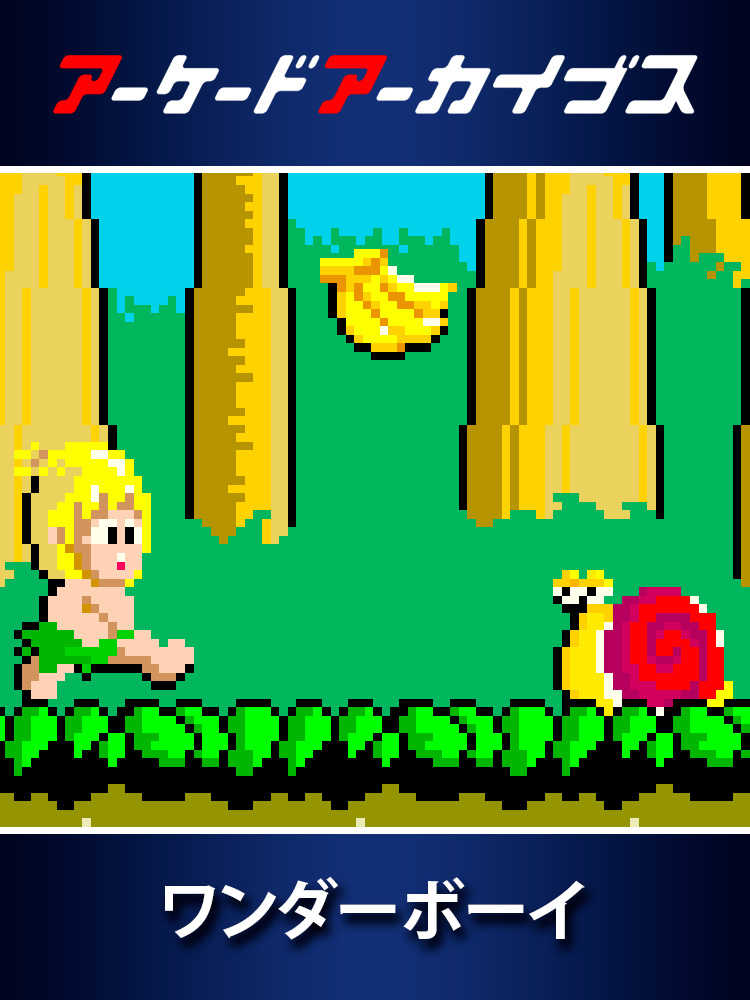 Arcade Archives: Wonder Boy cover