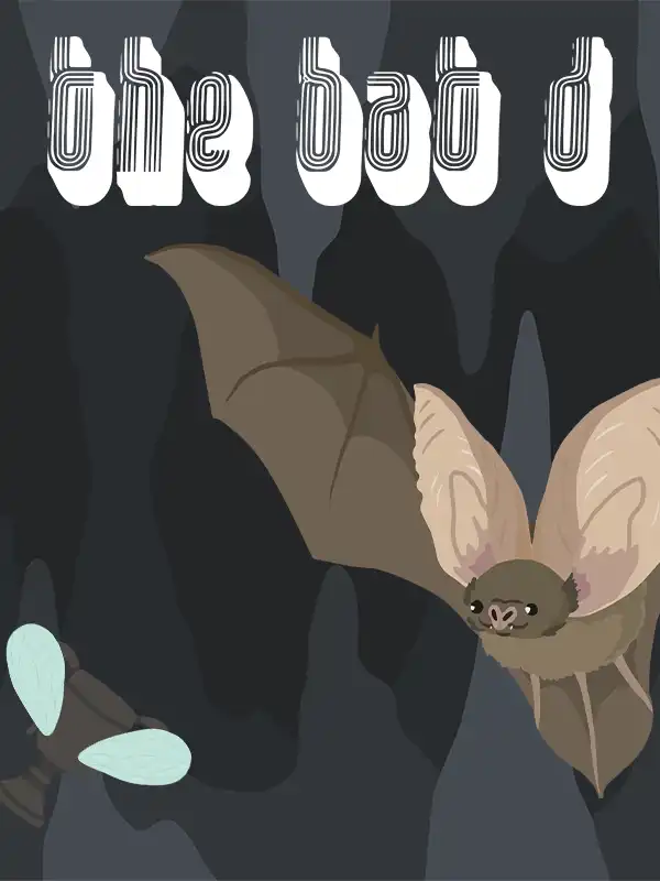 The Bat D cover