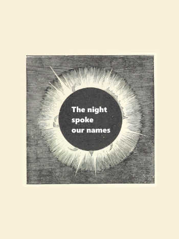 The night spoke our names cover