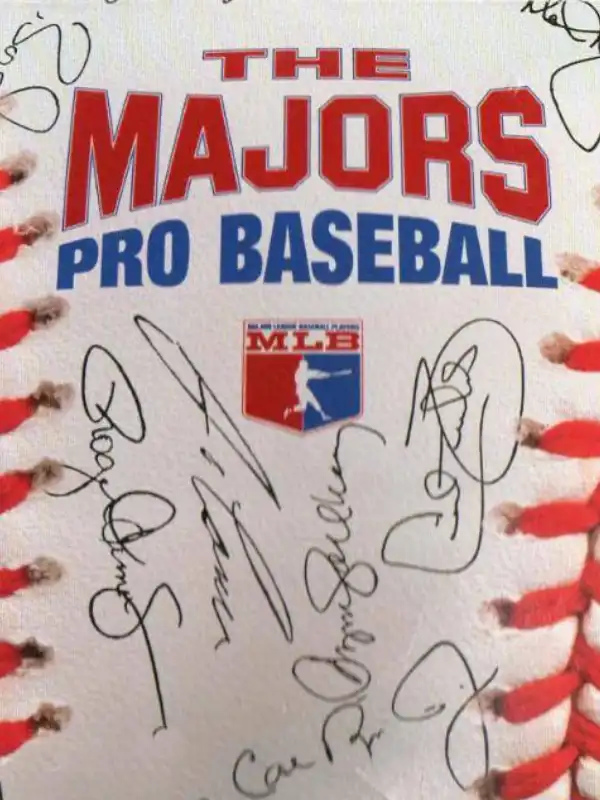 The Majors Pro Baseball cover