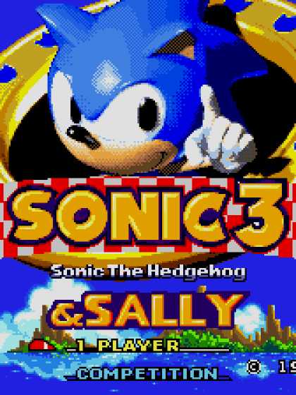 Sonic 3 & Sally Acorn cover