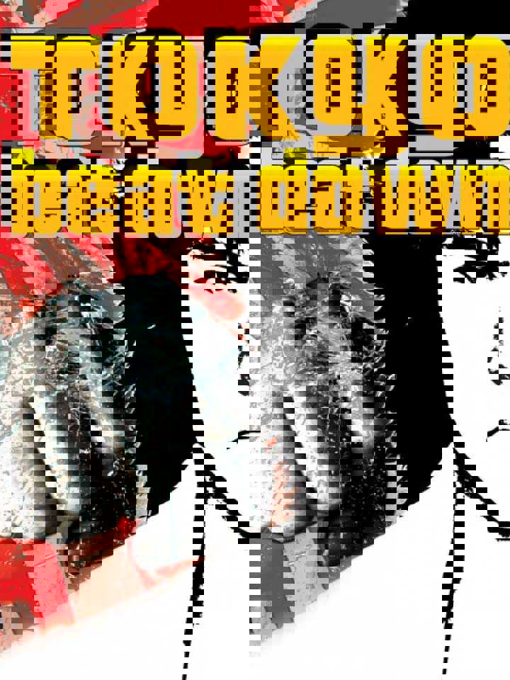 Tokyo Beat Down cover