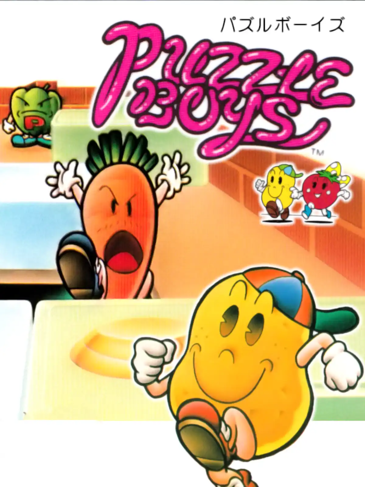 Puzzle Boys cover