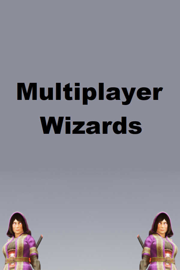 Multiplayer Wizards cover