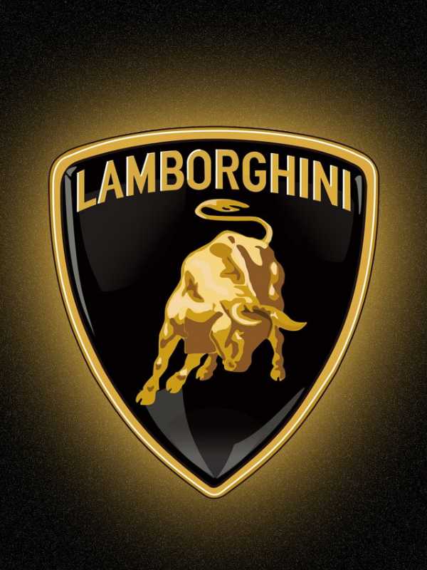 Lamborghini cover