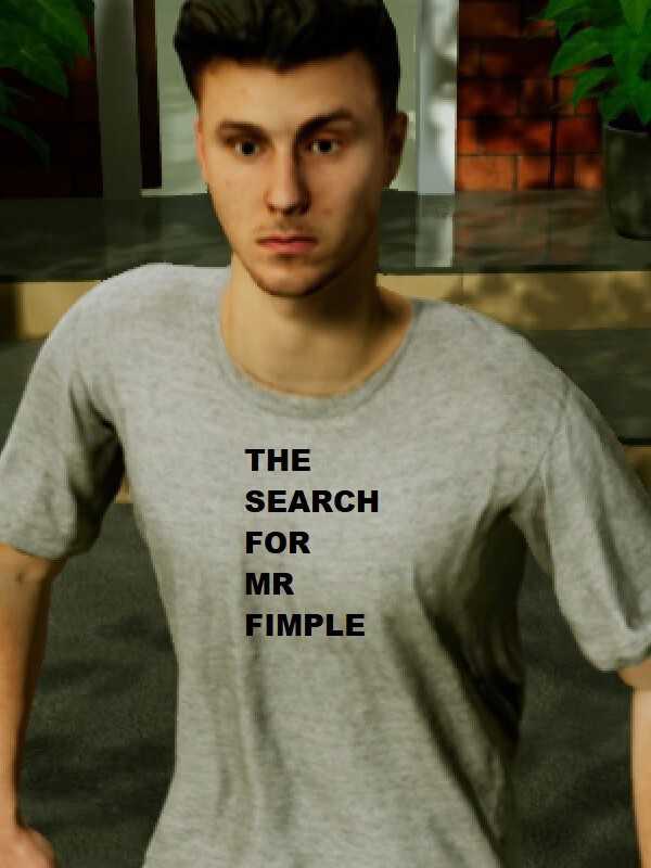 The Search for MR Fimple cover