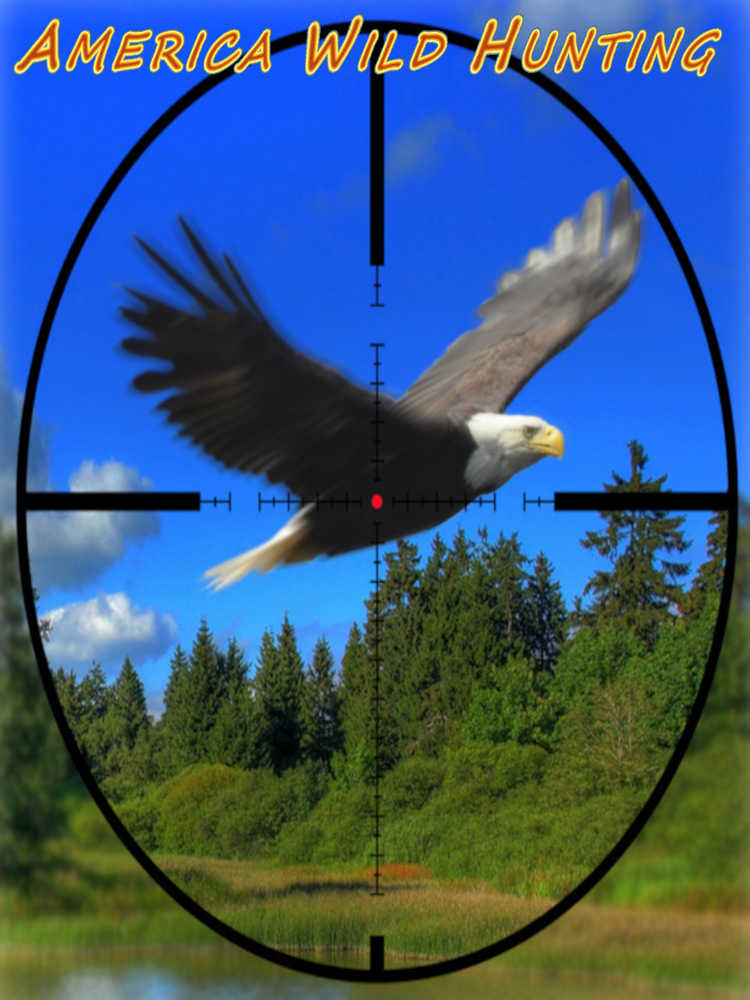 America Wild Hunting cover