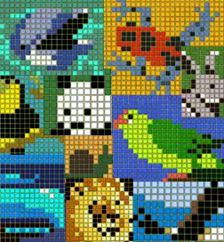 Animal Color Cross cover