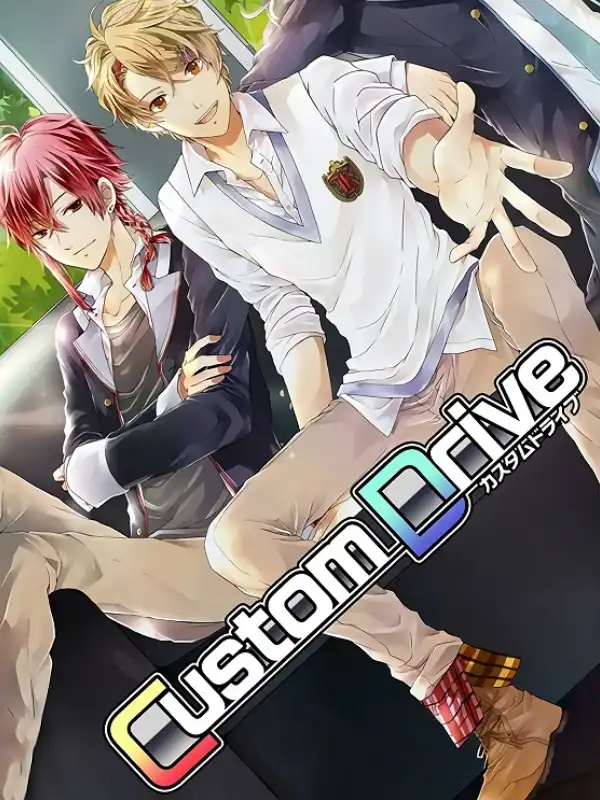Custom Drive cover