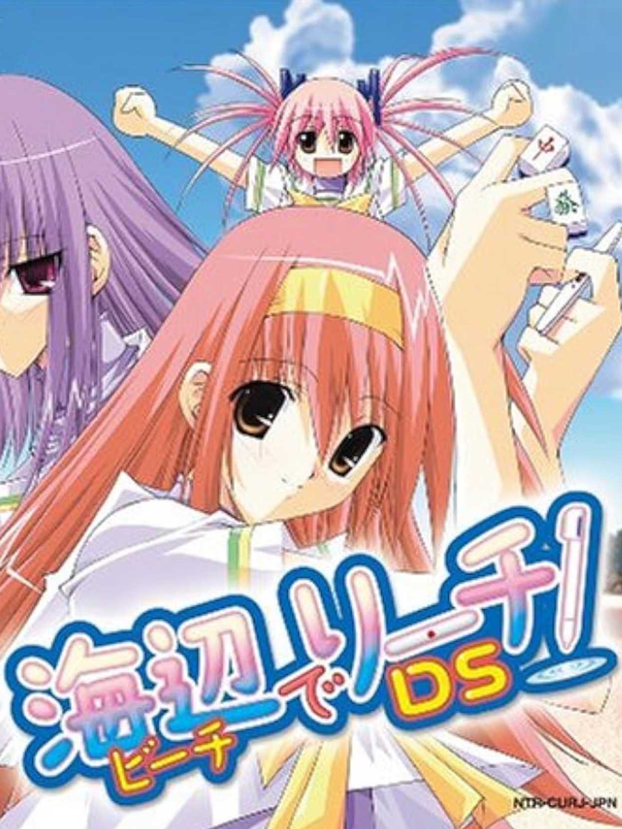 Beach de Reach! DS cover