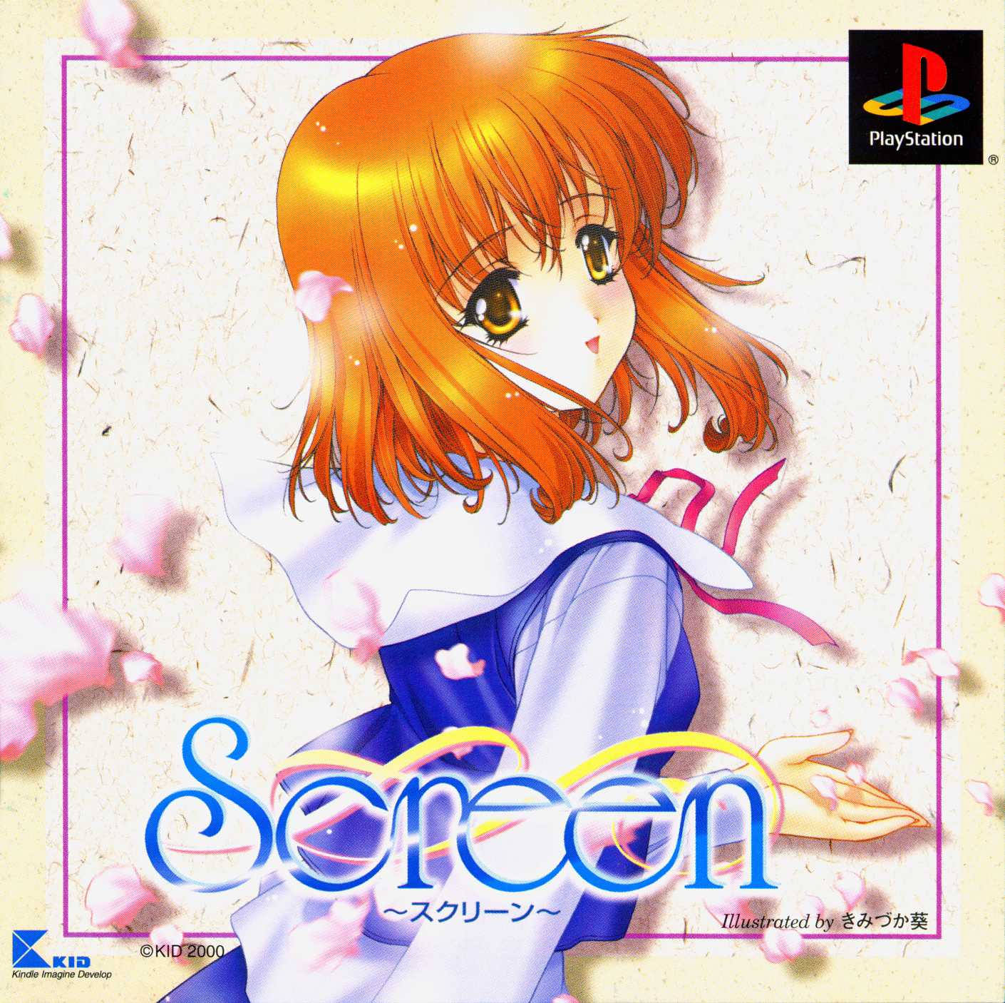 Screen cover