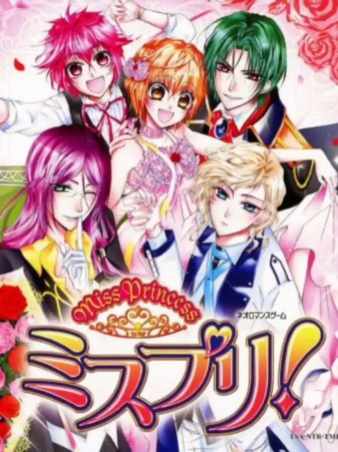 Miss Princess Miss Pri cover