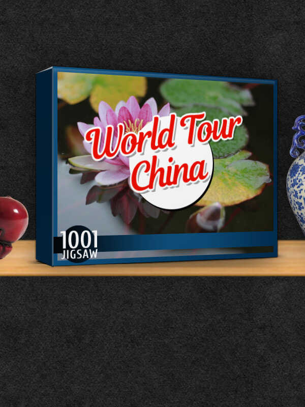1001 Jigsaw World Tour China cover