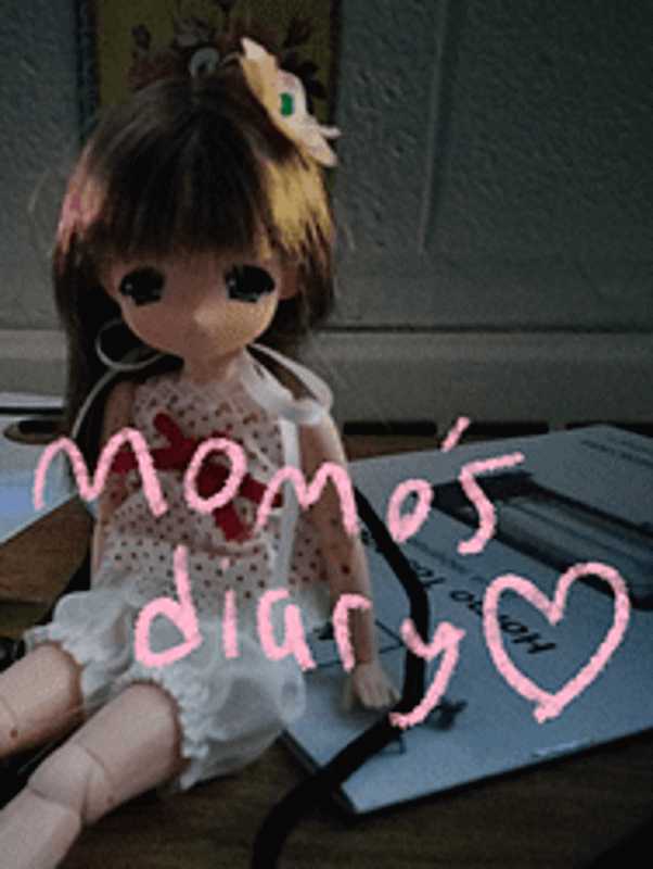 Momo's Diary cover