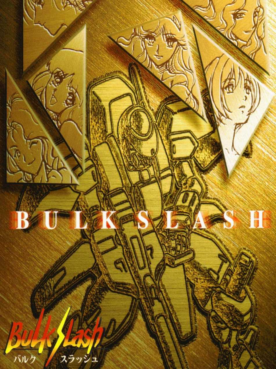 Bulk Slash cover