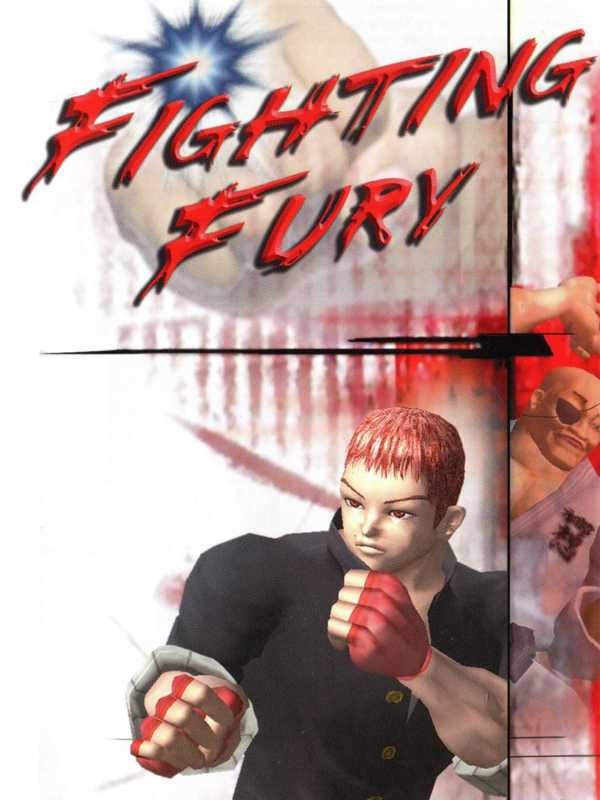 Fighting Fury cover
