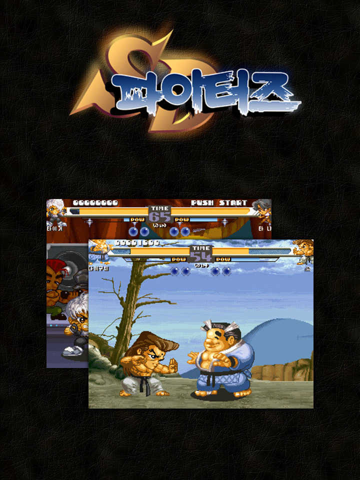 SD Fighters cover