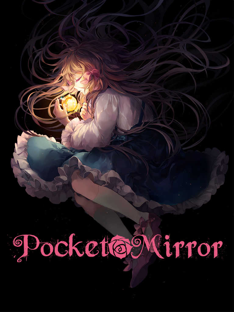 Pocket Mirror cover