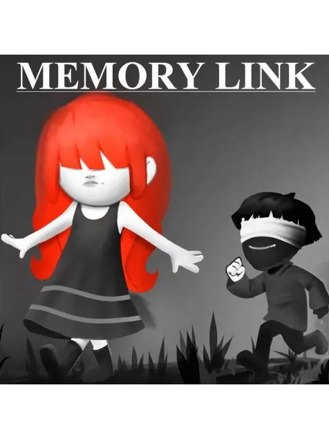 Memory Link cover
