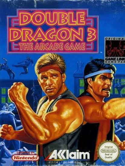Double Dragon 3: The Arcade Game cover