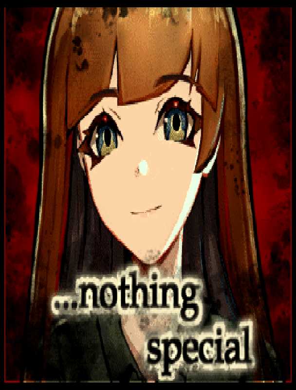 Nothing Special cover