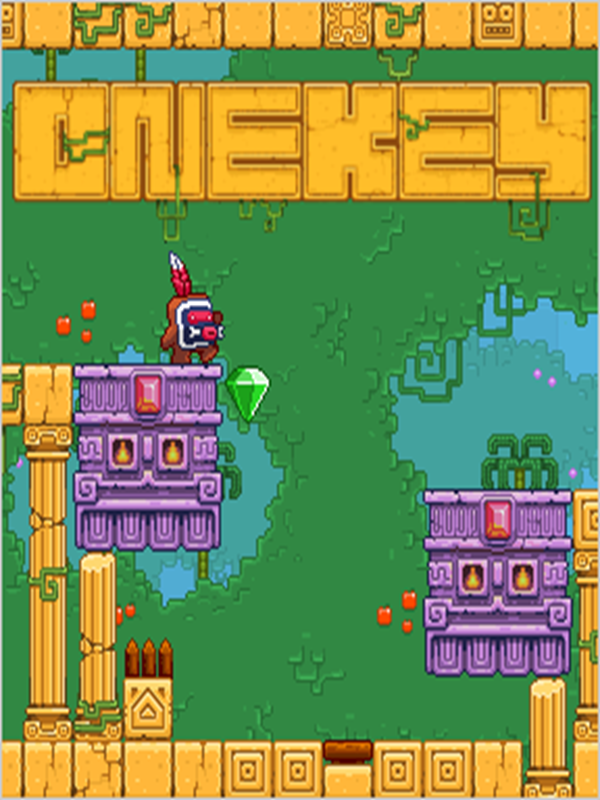 Onekey cover
