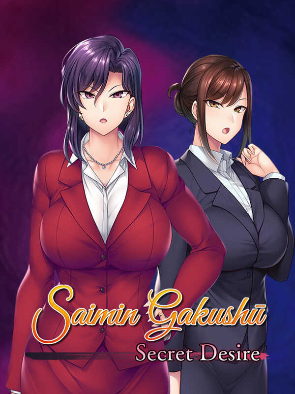 Saimin Gakushuu: Secret Desire cover